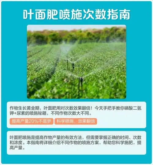 高钾冲施肥