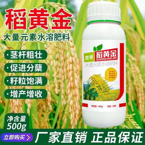 油菜壮籽肥