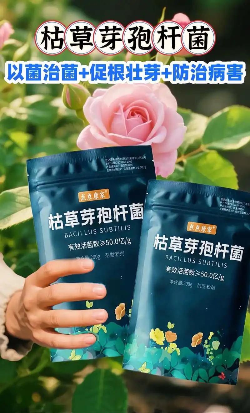 放线菌生物肥