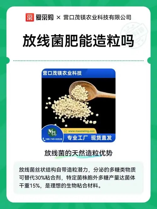 放线菌生物肥