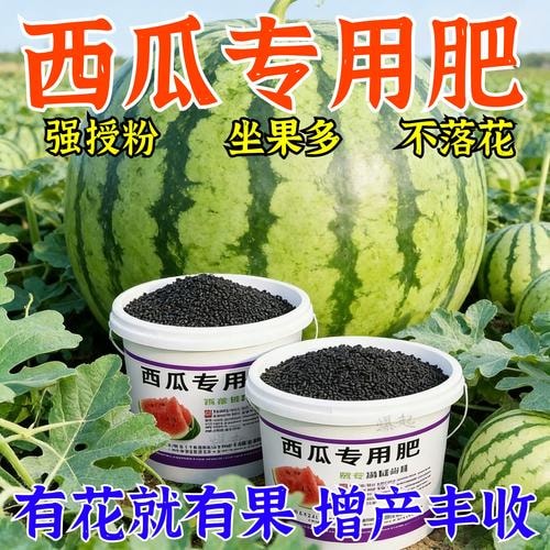 西瓜膨大肥