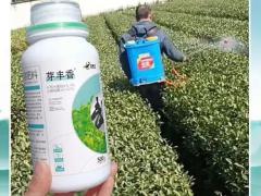 求购生物菌肥 240吨