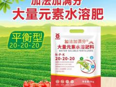 复合微生物肥有限公司：吴刚实力企业专访
