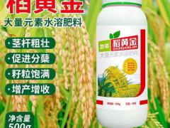 中农种植肥料有限公司：武汉实力企业专访